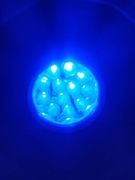 latarka UV 12 diod