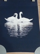 Obraz na płótnie Łabędzie  50x70 cm. Druk komputerowy 