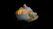 Opal Szlachetny | Mocno Opalizujący | 1.8gr | Minerał Kamień Kryształ 