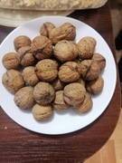 Orzechy włoskie tegoroczne 5kg