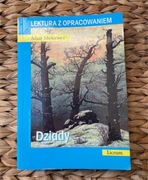 Adam Mickiewicz Dziady Lektura z opracowaniem