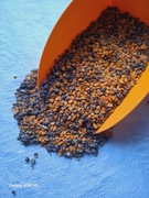 Łubin słodki niebieski Gnieciony Dla Kur Kaczek Gęsi 20kg