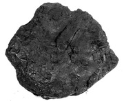 LIGNIT  DO AKWARIUM GLB1