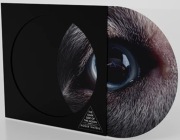 Roger Waters Dark Side of THE Moon Pictures Winyl