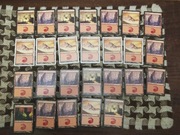 Karty MTG  Basic Land Rob Alexander 132 szt Okazja