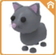 Adopt me- Cat -Common