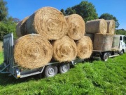 SIANO DLA KONIA ,EKOLOGICZNE,CERTYFIKAT,TRANSPORT