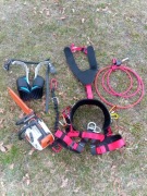 Cięcie i wycinka arborystyczna drzew 