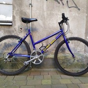 Damka na osprzęcie Shimano