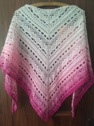 Chusta szydełkowa Lymantria 