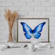 Motyl Obraz na Ścianę Druk z oryginału Akwarela 