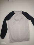 bluza bluzka z zebra reporter 140 146 152