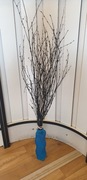 Dekoracyjne Gałązki brzozy malowane kolor Czarny 60cm