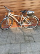 Rower Alu-Bike Fischer