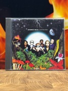 STEREO MC'S"Connected"