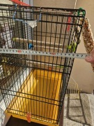 Klatka dla kanarki,  papugi 