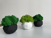 Doniczka betonowa geometryczna zestaw