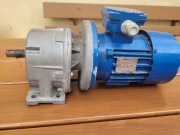 Slnik 0,18 kw z przekładnią BONFIGLIOLI