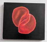 Peter Gabriel Scratch My Back | 2CD Special Edition (RWPX1) IGŁA