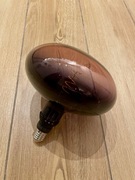 IKEA ROLLSBO LED E27 5,5W 120lm 1600K duża dekoracyjna