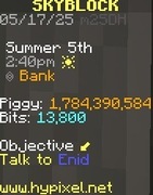 HYPIXEL SKYBLOCK - Coinsy: 1zł = 5mln