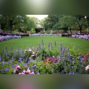 Projekt ogrodu na odleglosc profesjonalnie 