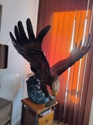 American Bold Eagle - stop brązu i mosiądzu 