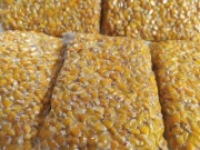 Kukurydza gotowana do zanęcania pakowana próżniowo 1 kg