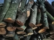 Drewno owocowe, kominkowe,wędzarnicze, 10 kg