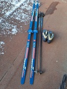 Narty biegowe, z butami i kijkami - używane.