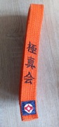 Pasy Pas Do Kyokushin Karate Pomarańczowy 320 cm (67)
