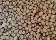 Bobik niskotaninowy 24kg