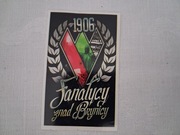 Vlepki Zagłębie Sosnowiec #31