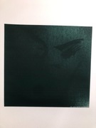 obraz, foto-malowidło 297*420mm