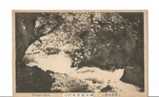 Widokówka Minomo Park Japonia pejzaż rzeka i klon ok. 1910