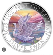 Australian Swan 2025 Kolor, 1oz Ag