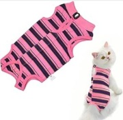 Body dla kota po operacji L