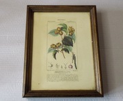 stara drewniana skrzynka na klucze z Austrii EKO DREWNO DESIGN