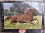 Puzzle Educa 1000 koń galop konik konie