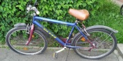 Rower Pulsar - koł 26 cali