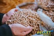 PELLET Jędrzejewski od producenta