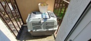 Transporter Skudo dla zwierza jak spaniel do podróży lotniczych sprzedam