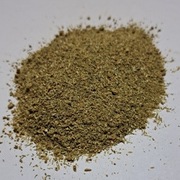 Fenkuł Nać plus owoc 1 kg 