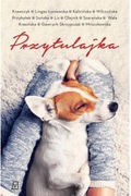 Przytulkajka
