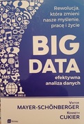BIG DATA - efektywna analiza danych