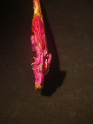 Długopis smok ozdoba figurka niebieski atrament 