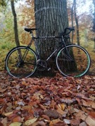 Rower szosowy Giant swift 