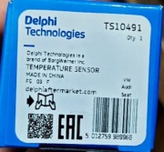 Czujnik temperatury powietrza Delphi TS10491 Audi