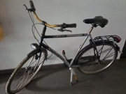 Rower Miejski Gazella 