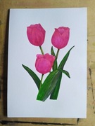 Akwarela - Tulipany